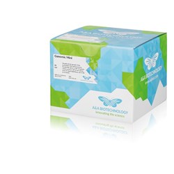 Genomic DNA isolation from bacteria culture, cell culture or tissue  / 250 PK
