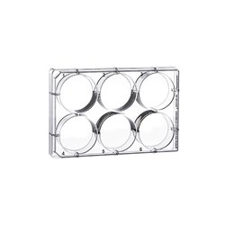 Plate, Cell Culture 6 well, PS, Clr, CELLSTAR TC, Lid w. Cond. Rings, Sterile, Indiv. Pk / PK 100