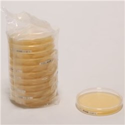 Sabouraud Dextrose Agar Settle Plates, with lecithin, Tween, histidine, sodium thiosulfate /PK 120