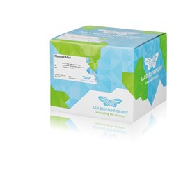 Proteinase K / 1g (store at 4 degrees, ships ambient)