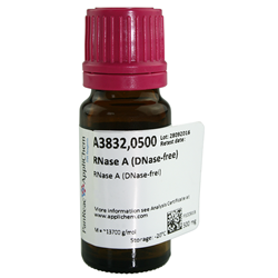 RNase A (DNase-free) 250mg (store at -20 degrees, ships ambient)