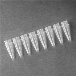 Thin Wall 8-Strip PCR Tube Strips ONLY 0.2mL, Clear DNase & RNase FREE/ PK 125 (Caps AXY321-11-052)