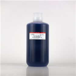 One-Step Blue Protein Gel Stain 1L