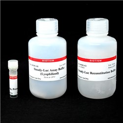 Steady-Luc Firefly HTS Assay Kit (Lyophilized) - 1,000 assays