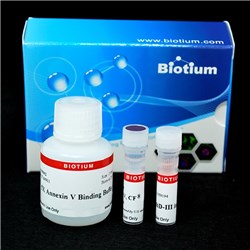 Apoptosis and Necrosis Quantitation Kit Plus (50 assays)