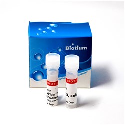 ViaFluor® 405 SE Cell Proliferation Trial Kit