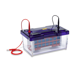 OmniBlot Mini Wide 20 x 10cm Blotting System, including 3 cassettes