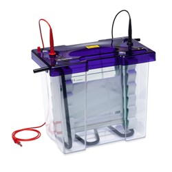 Electrophoresis VS20 WAVE Maxi, 20 x 20cm Dual, 2 sets of Glass Plates, 2x 24 sample