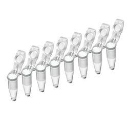 Eight-tube strip, for 0,2 ml PCR Tubes, pack of 120 (= 960 tubes)