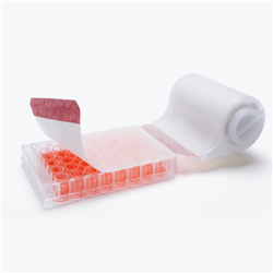 AeraSeal Starter Kit: SealMate Dispenser + 2 Rolls of AeraSeal, 50 sheets/roll, Non Sterile