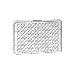 Microplate, 96 well, PP, U-bottom, Natural, DNase & RNase Free / PK100