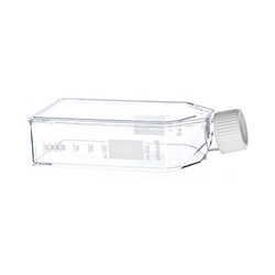 Flask, Suspension Culture, 250 mL, PS, clear, White Filter Screw Cap, Sterile, D/RNase- / PK 120