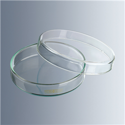 Petri dishes glass 100x20 mm / PK 72