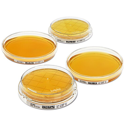 Contact Agar Baird Parker for detection of Staphylococcus aureus/ PK 20