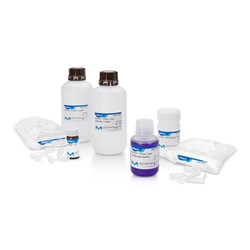 Auto2D® Glycine Type Reagent Kit