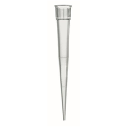 Pipette tip blue 50-1000ul BRAND / PK 1000