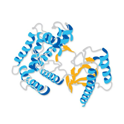 PRONASE® Protease, Streptomyces griseus, Nuclease-Free 25KU Calbiochem®