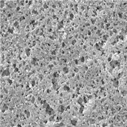 Nylon Membrane Filter, Hydrophilic, 0.20 µm, 47 mm, white, plain / PK 100