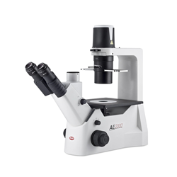 AE2000 Trinocular inverted microscope ( Light Split = 20/80) - with PL PH 20x