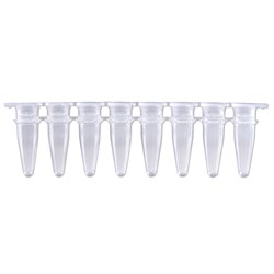 Cap 8-Strip Flat Clear / Bag 250