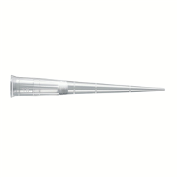 SOR87260T