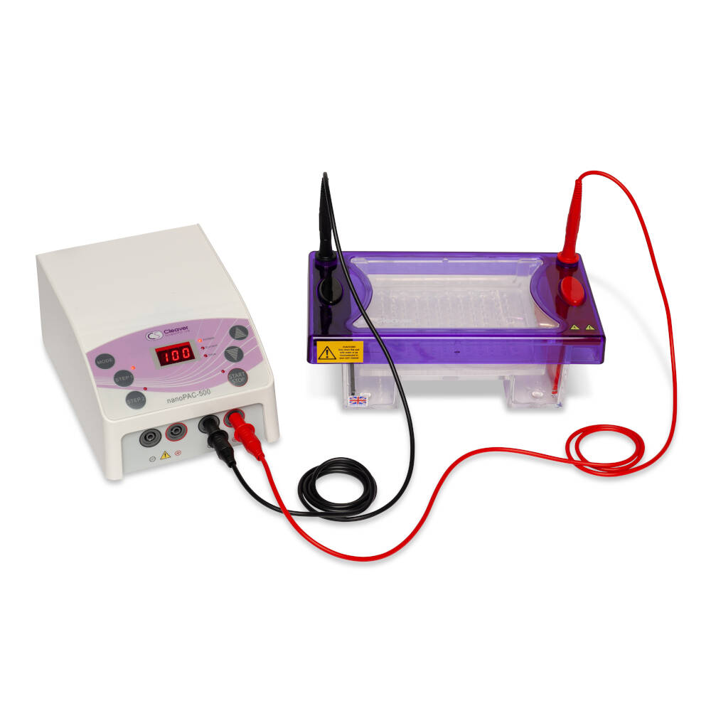 Electrophoresis