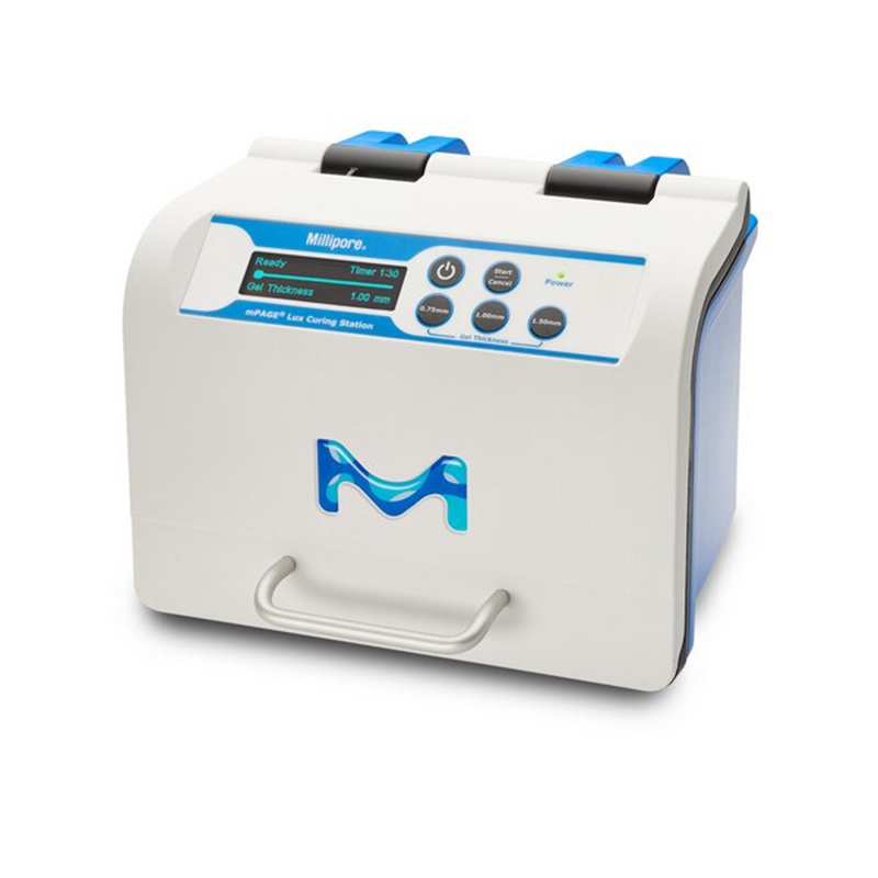 Electrophoresis