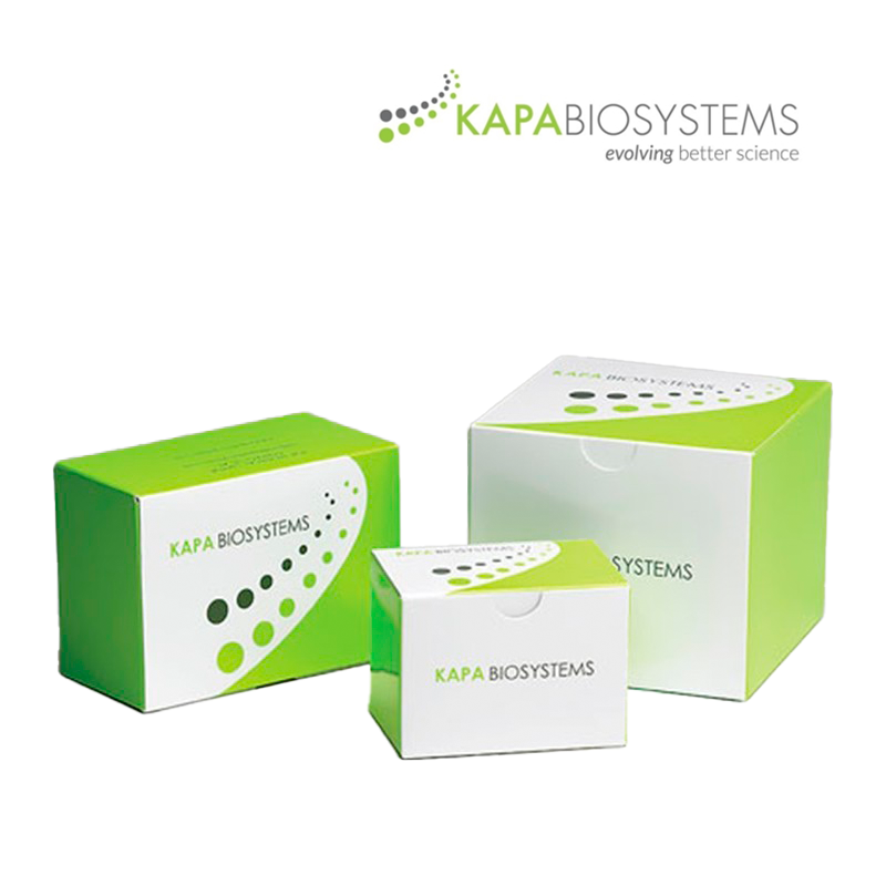 SYBR Fast QPCR Kits