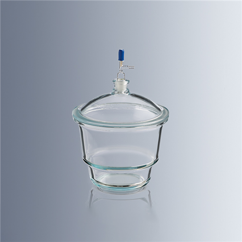 Desiccators Glass Desiccator, outlet on lid, 200 mmLab Supply Lab