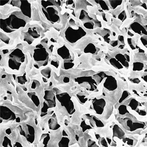 PVDF Membrane filter Durapore PVDF, hydrophilic, 0.22 um, 47 mm